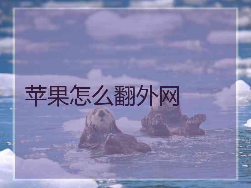 苹果怎么翻外网
