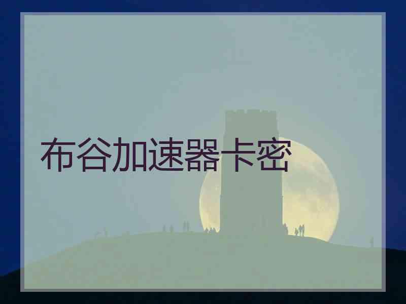布谷加速器卡密