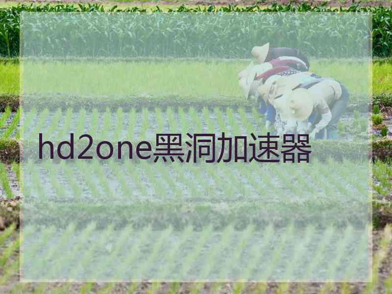 hd2one黑洞加速器