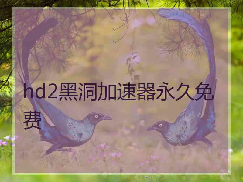 hd2黑洞加速器永久免费