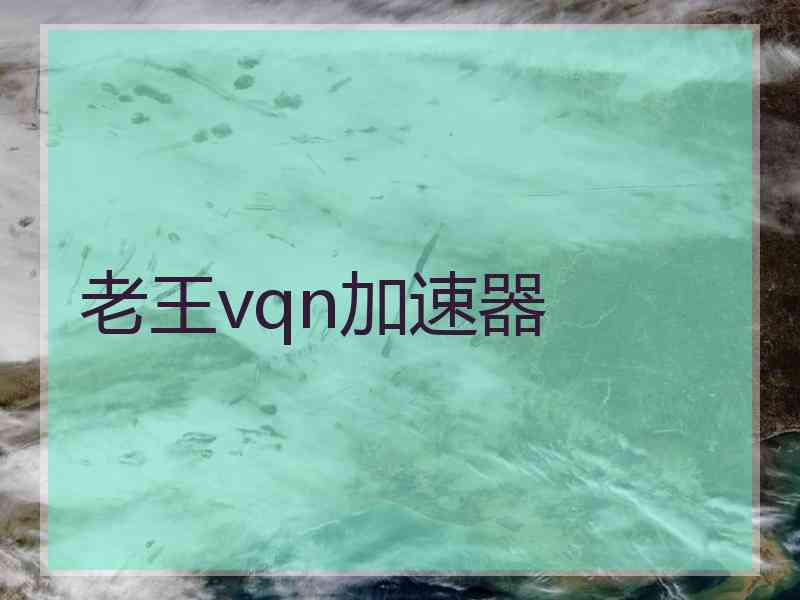 老王vqn加速器