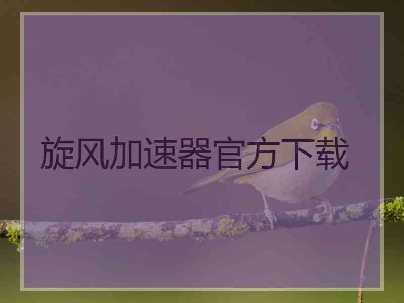 旋风加速器官方下载