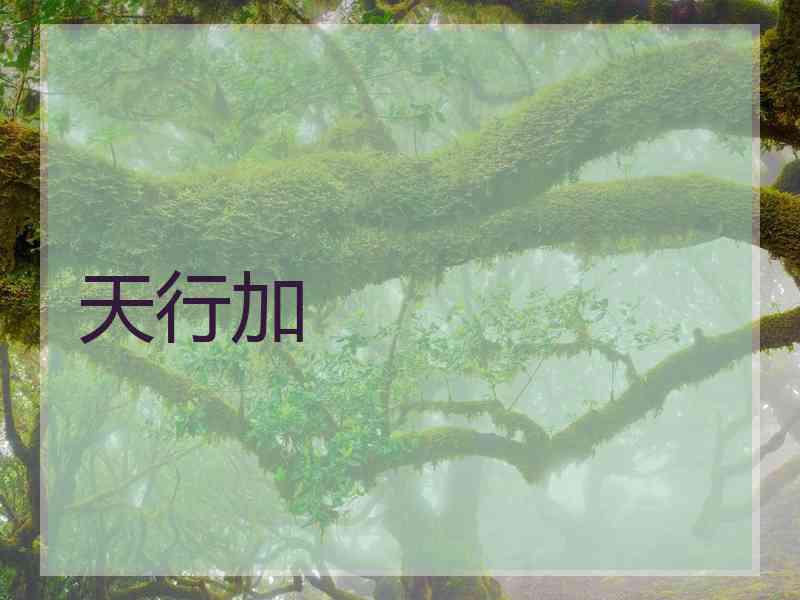 天行加