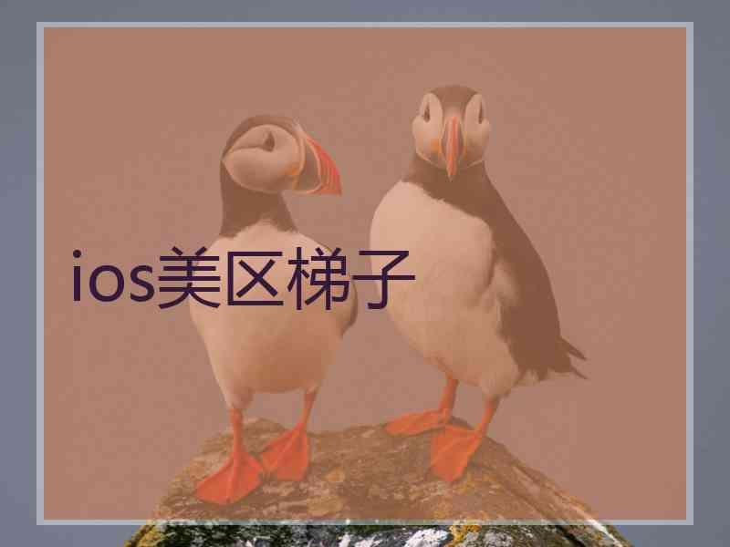 ios美区梯子