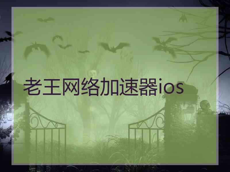 老王网络加速器ios