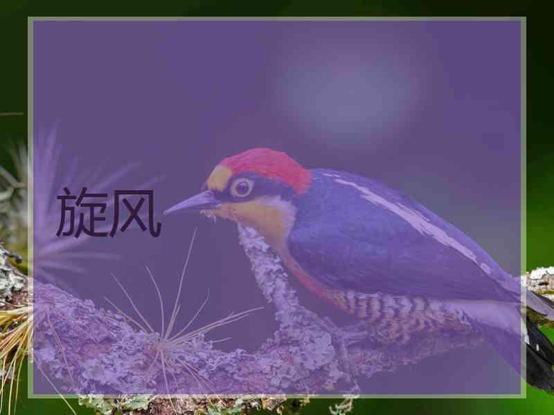 旋风