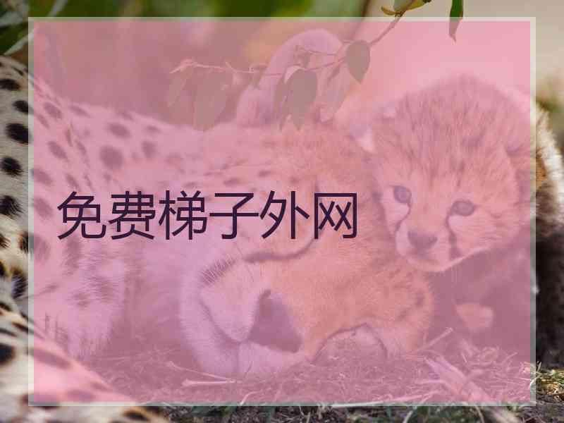免费梯子外网