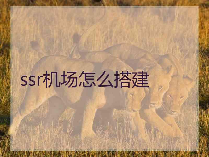 ssr机场怎么搭建