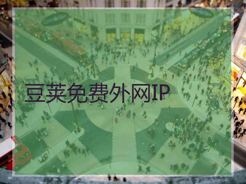 豆荚免费外网IP