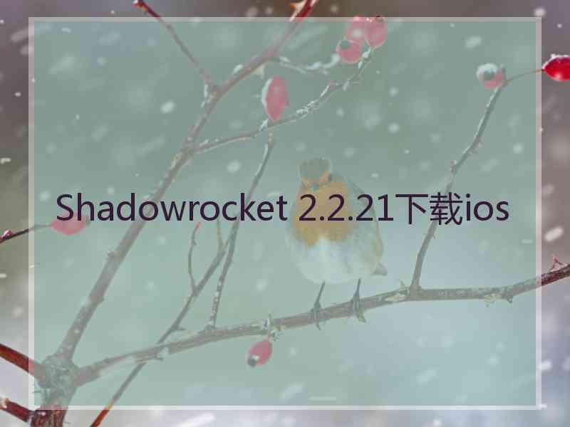 Shadowrocket 2.2.21下载ios