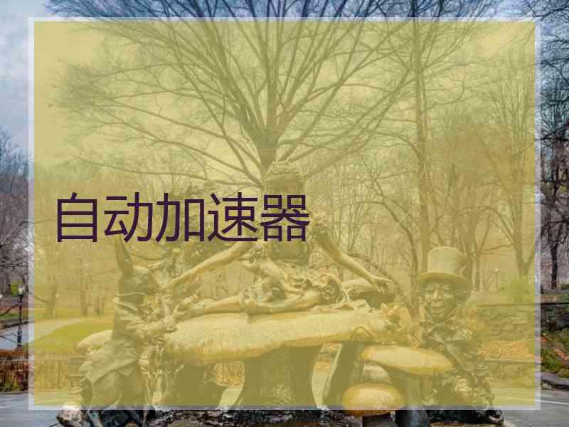 自动加速器