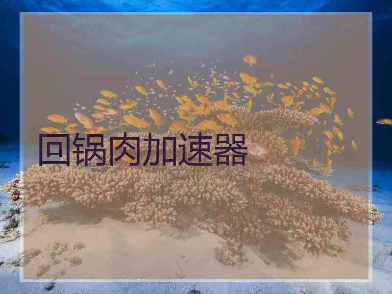 回锅肉加速器