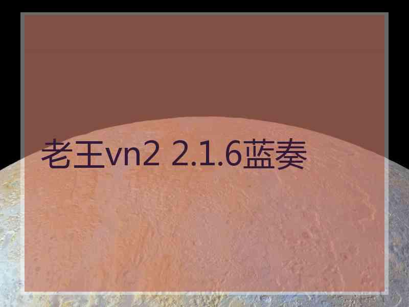 老王vn2 2.1.6蓝奏