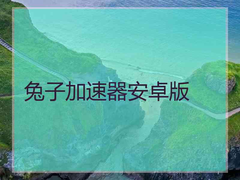 兔子加速器安卓版
