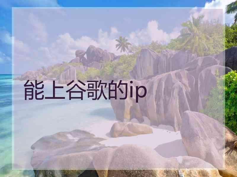 能上谷歌的ip