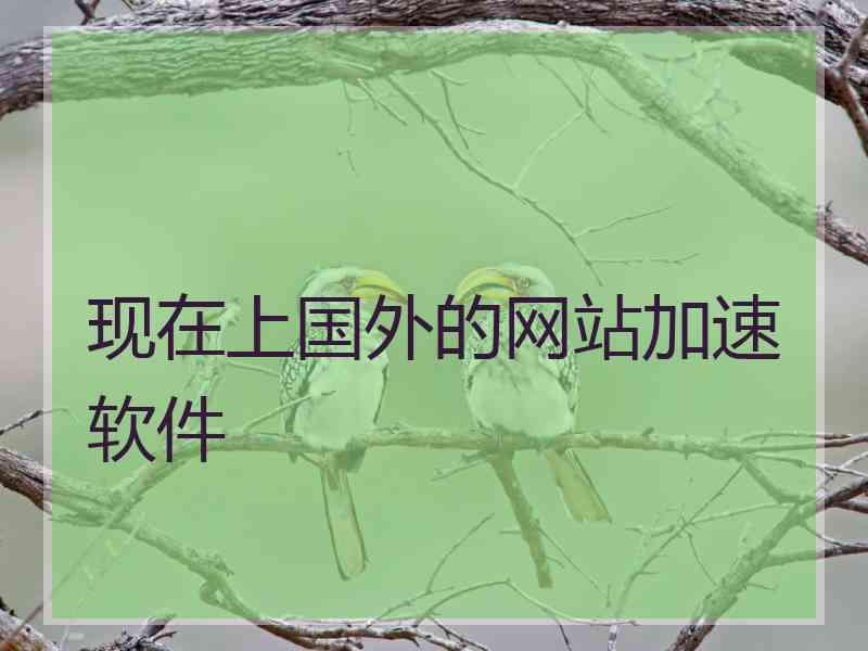 现在上国外的网站加速软件