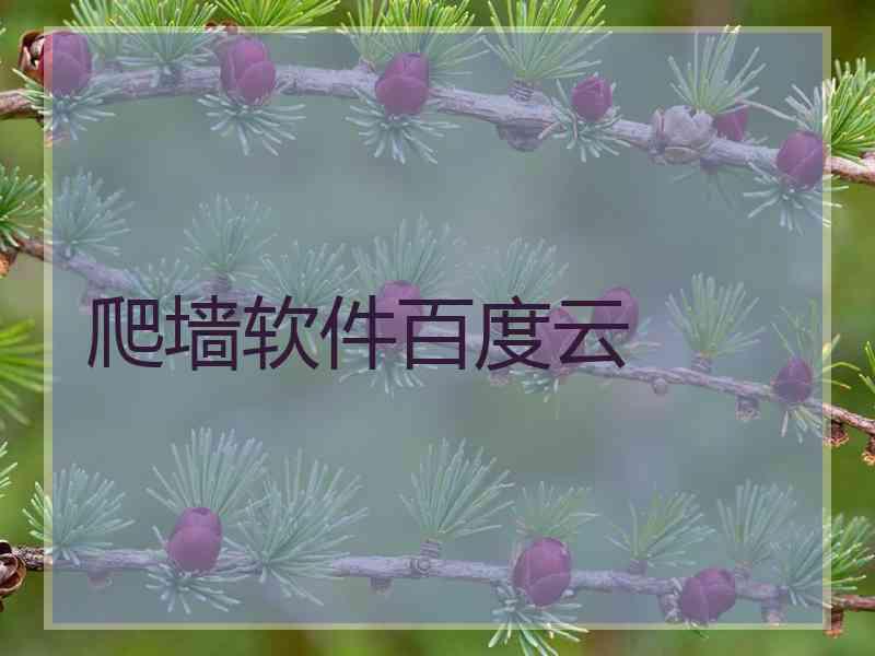 爬墙软件百度云