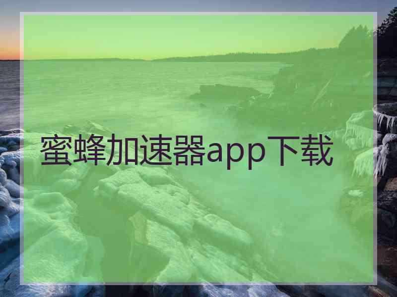 蜜蜂加速器app下载
