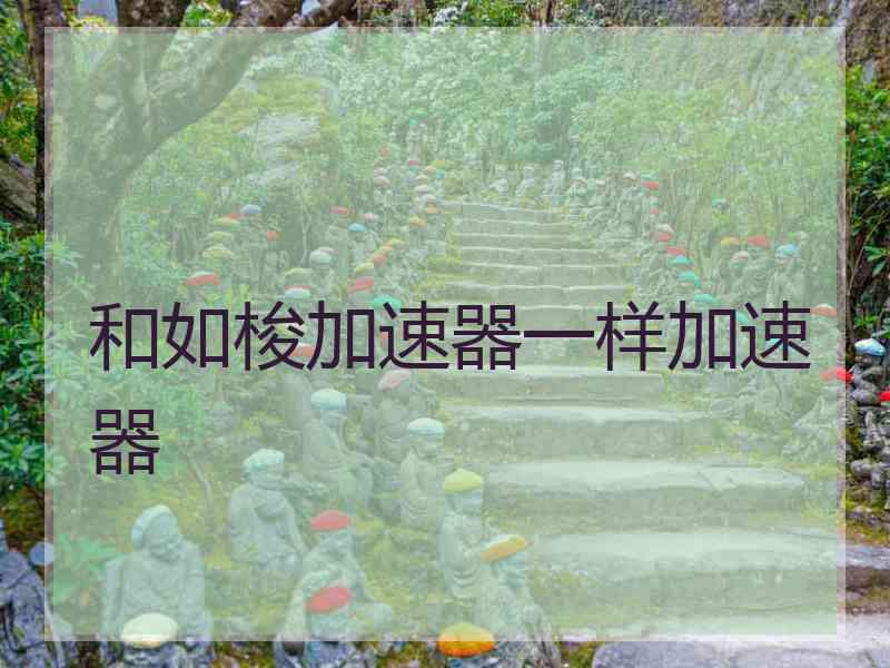 和如梭加速器一样加速器