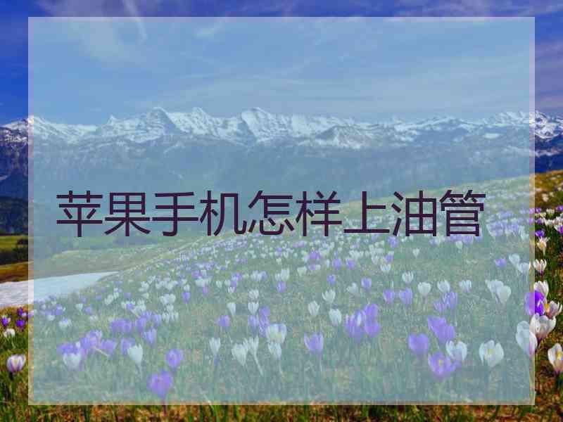 苹果手机怎样上油管