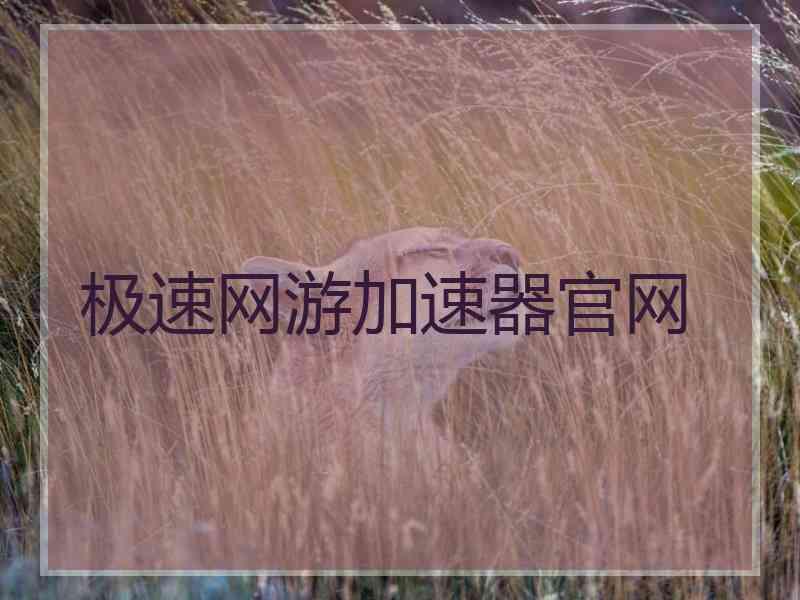 极速网游加速器官网