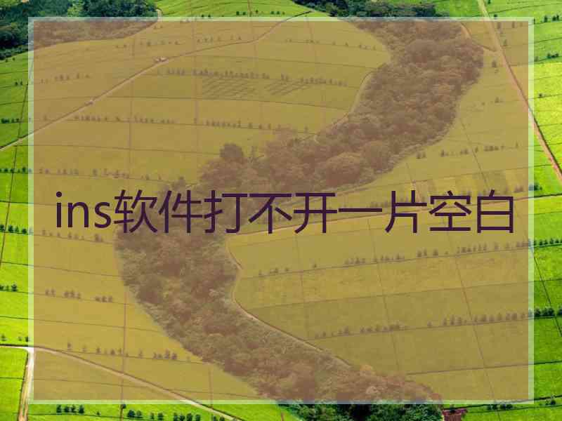 ins软件打不开一片空白