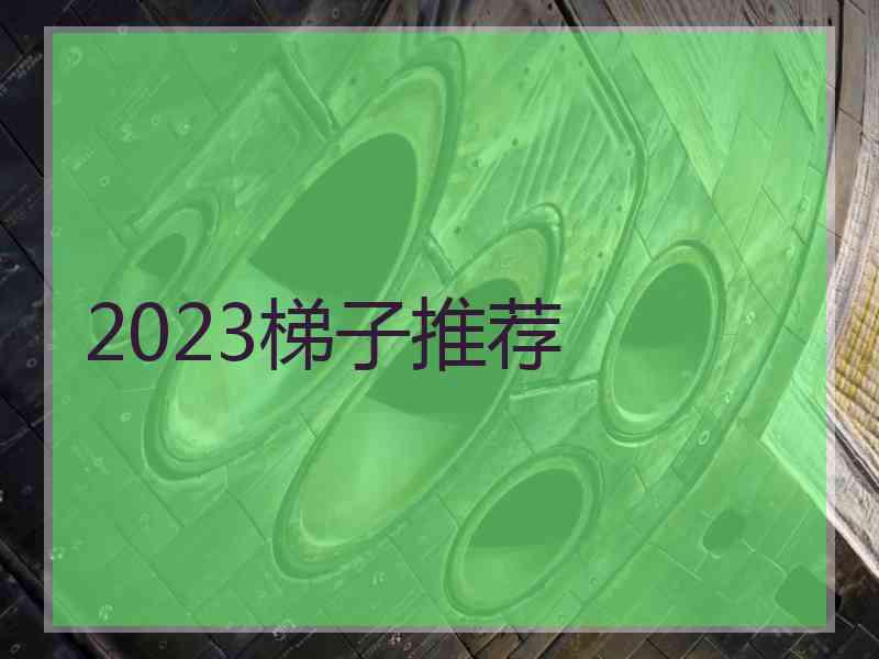2023梯子推荐