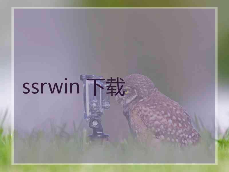 ssrwin 下载