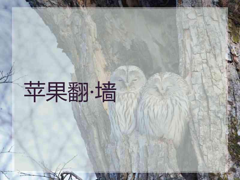 苹果翻·墙