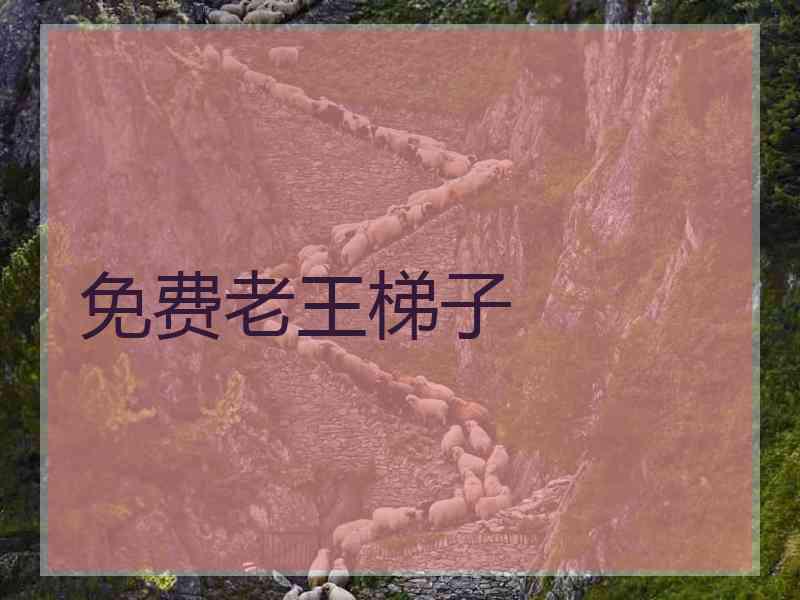 免费老王梯子