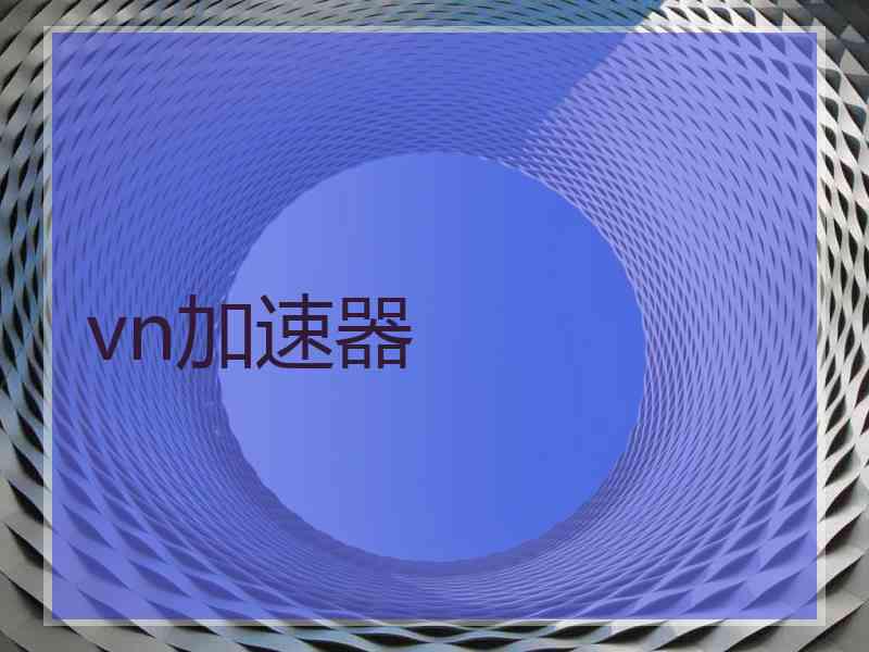 vn加速器