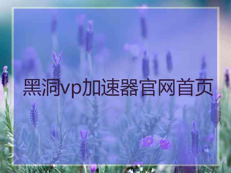 黑洞vp加速器官网首页