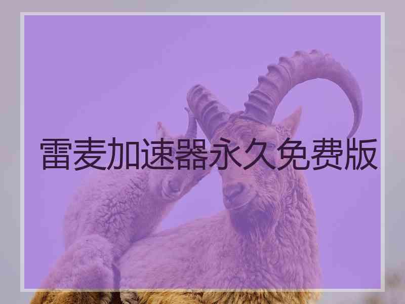 雷麦加速器永久免费版
