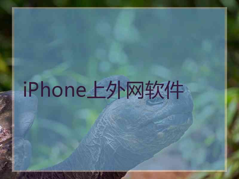 iPhone上外网软件