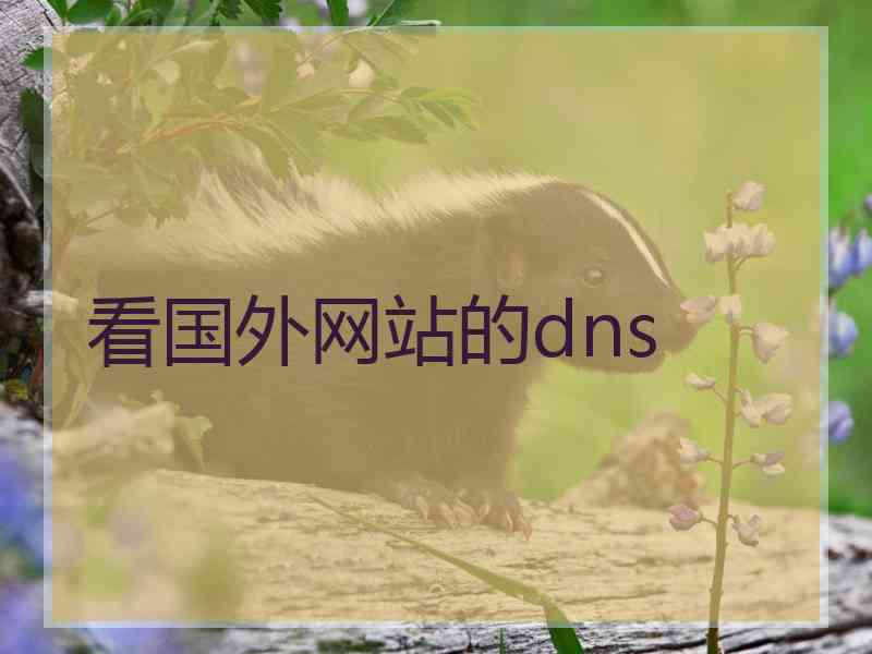 看国外网站的dns