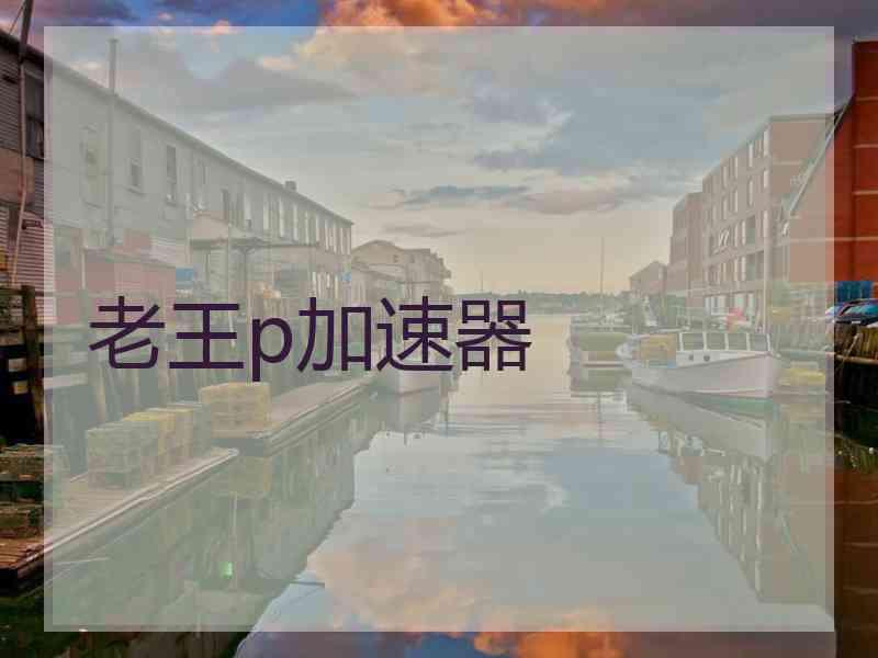 老王p加速器