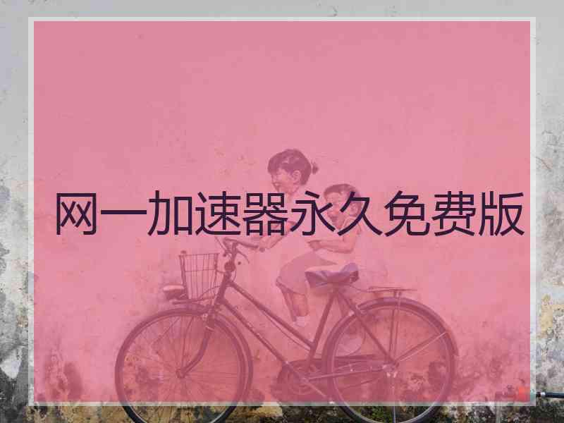 网一加速器永久免费版
