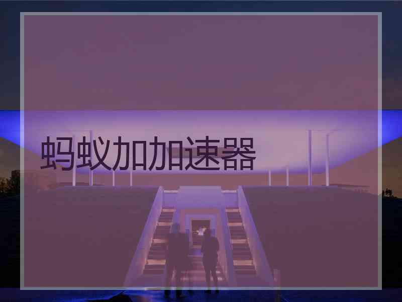 蚂蚁加加速器