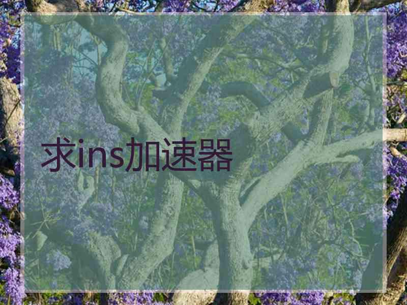 求ins加速器
