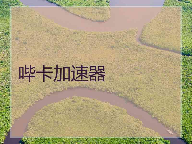 哔卡加速器