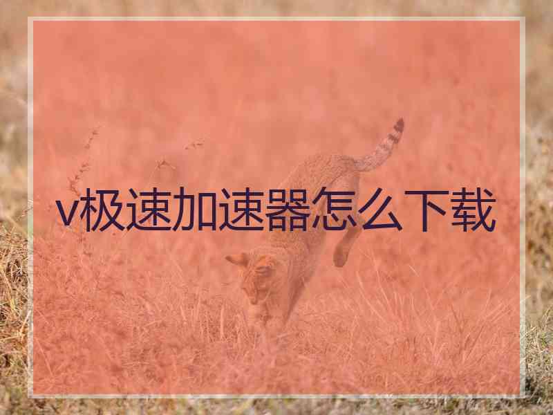 v极速加速器怎么下载
