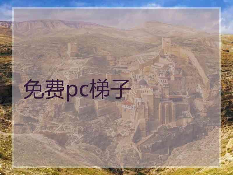 免费pc梯子