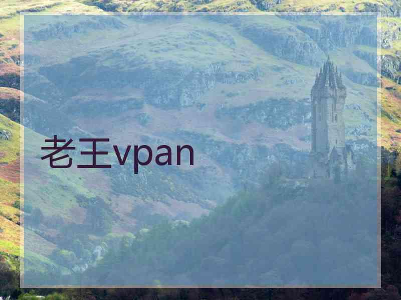 老王vpan