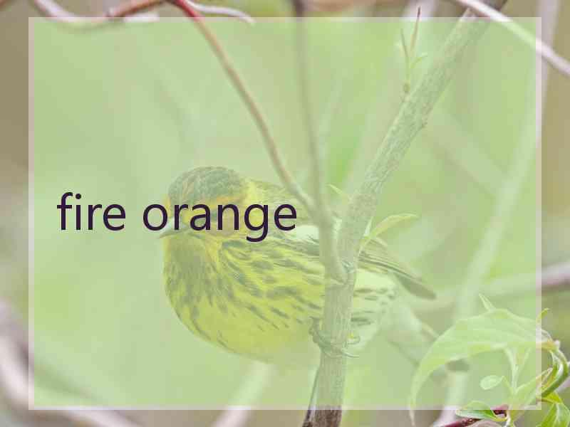fire orange