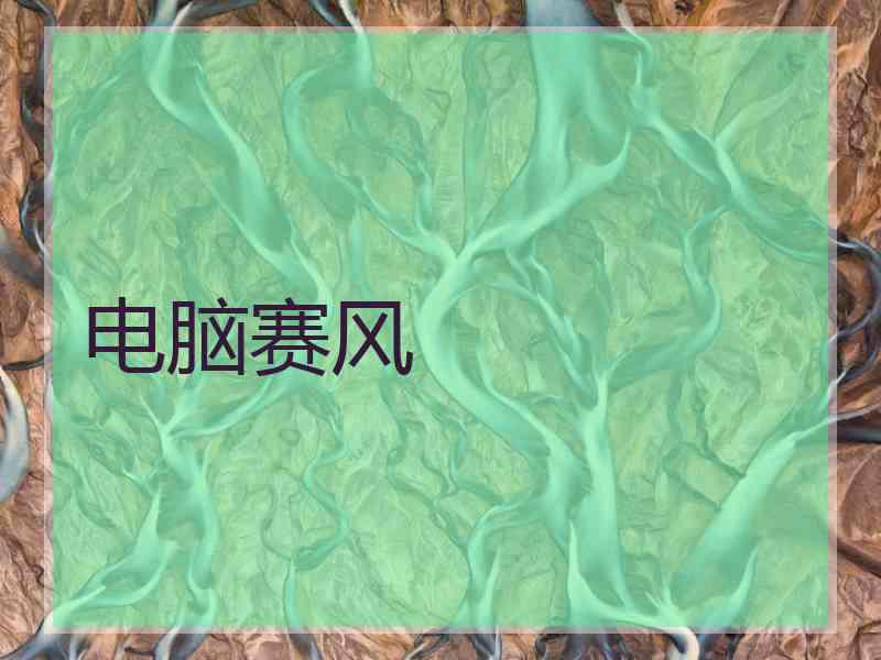 电脑赛风