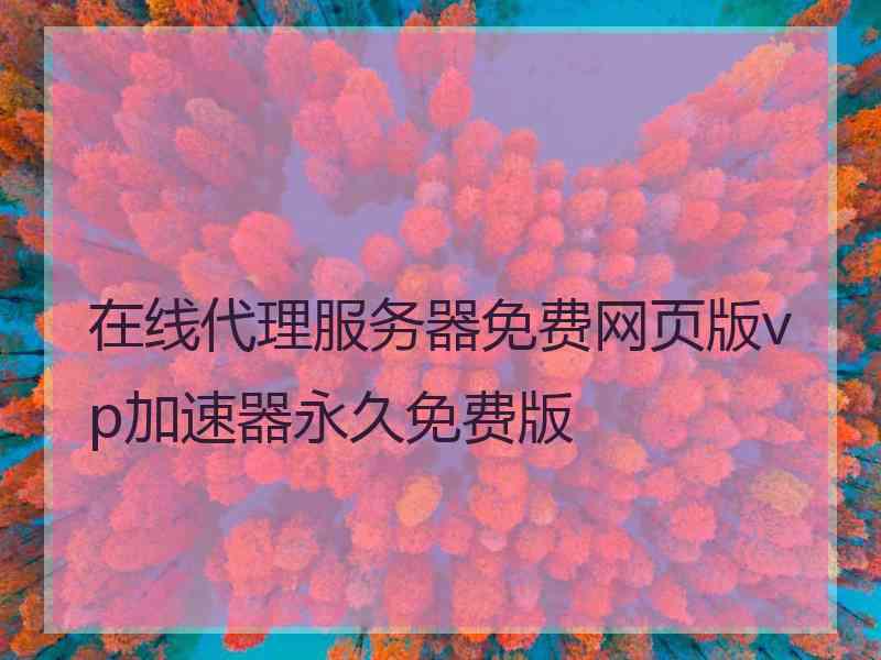 在线代理服务器免费网页版vp加速器永久免费版