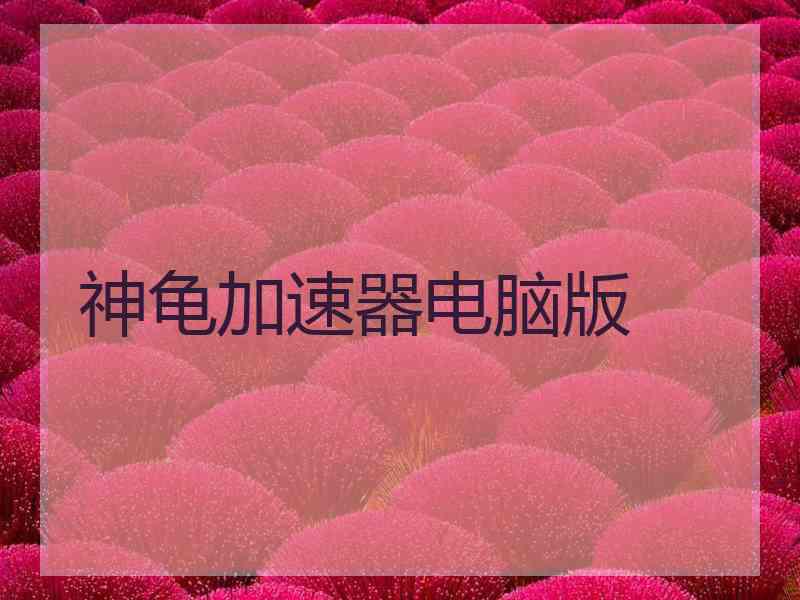 神龟加速器电脑版