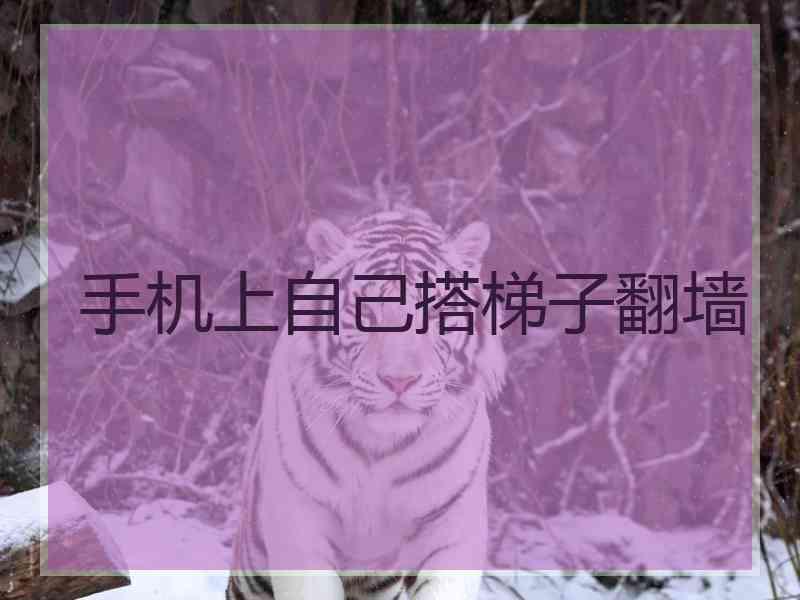 手机上自己搭梯子翻墙
