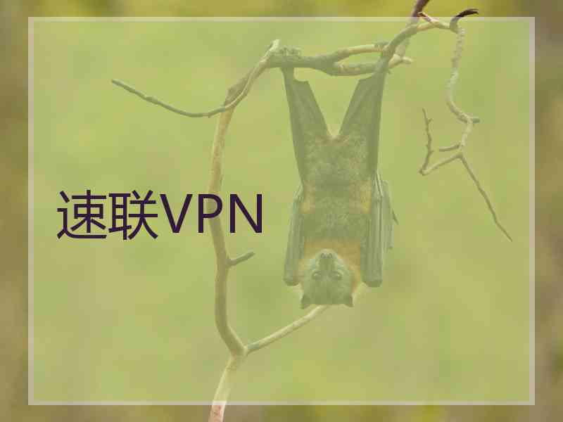 速联VPN