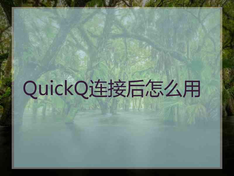 QuickQ连接后怎么用